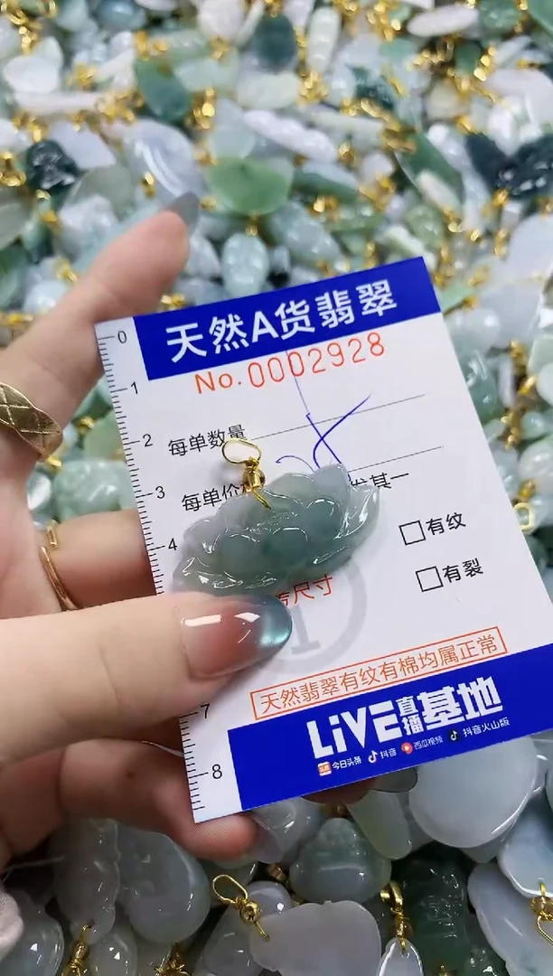 颈饰未镶嵌翡翠纯天然a货翡翠