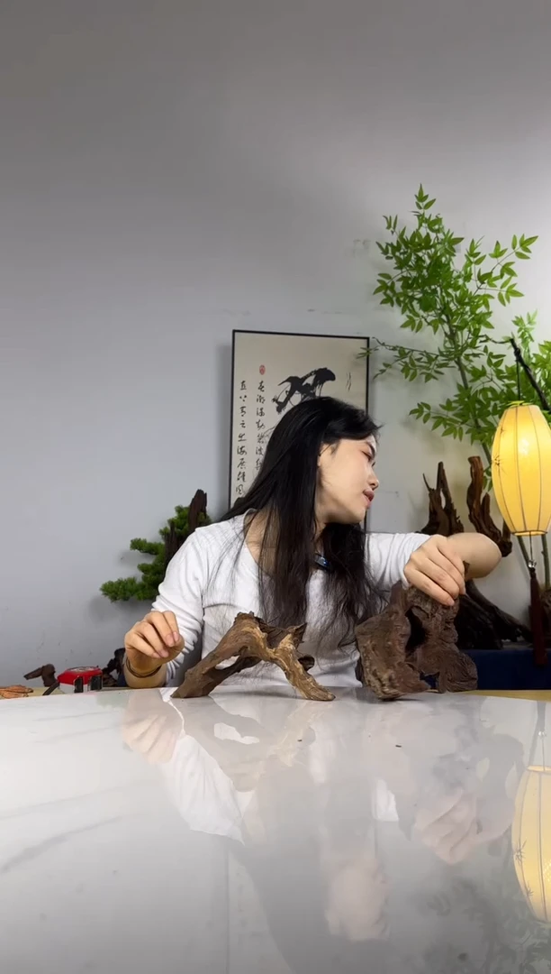 小*头拍沉木定向链接编号29