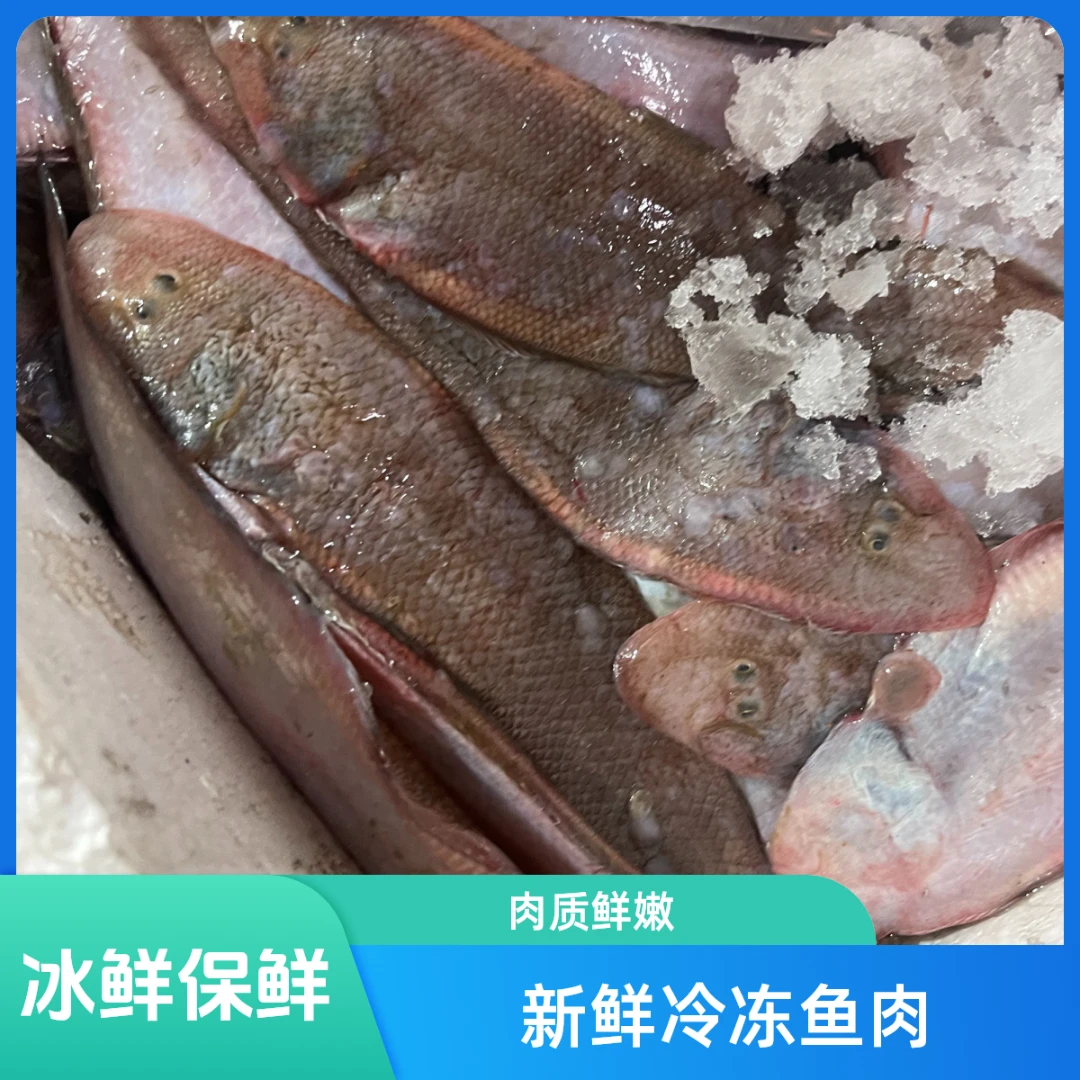 湛江新鲜海捕舌头鱼 龙利鱼 5斤净重 顺丰冷链 包邮炸鱼