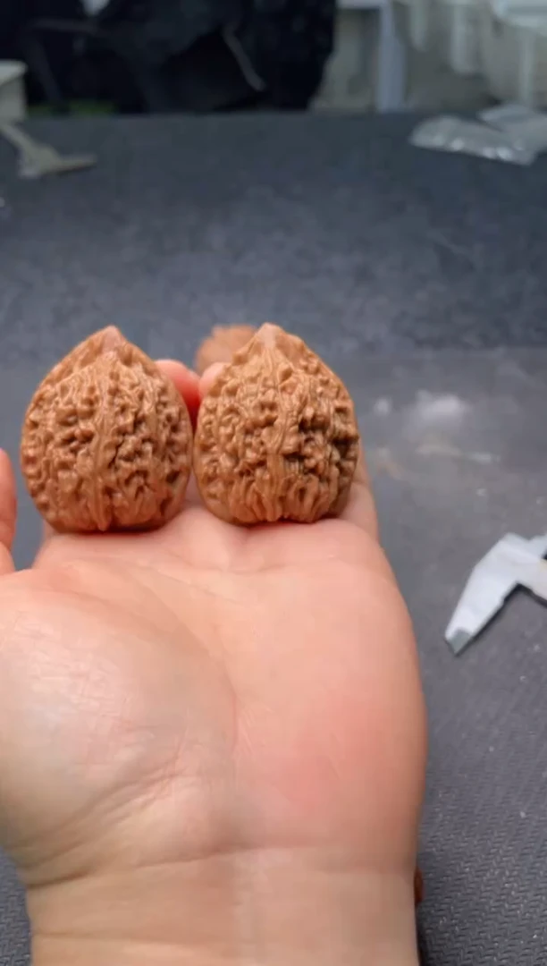 把件文玩核桃w256  蚂蚁王 37尺