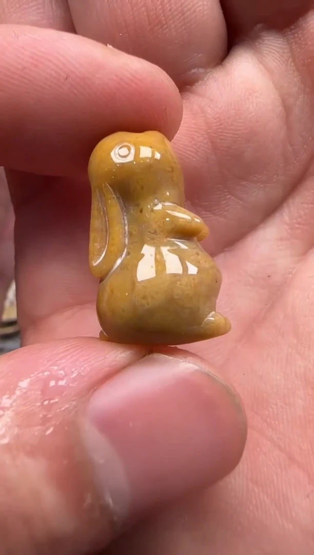 【闪购商品】硅化珊瑚（珊瑚玉）颈饰未镶嵌787