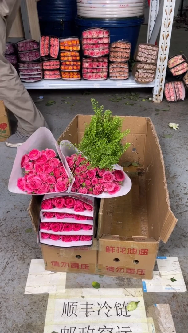 弗洛伊德20枝+苏菲宝贝10枝+绿林草