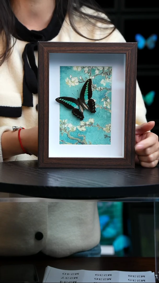 青凤蝶8寸复古框腊梅款