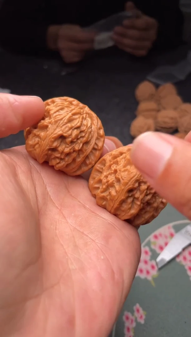 把件文玩核桃a329  白狮子40尺