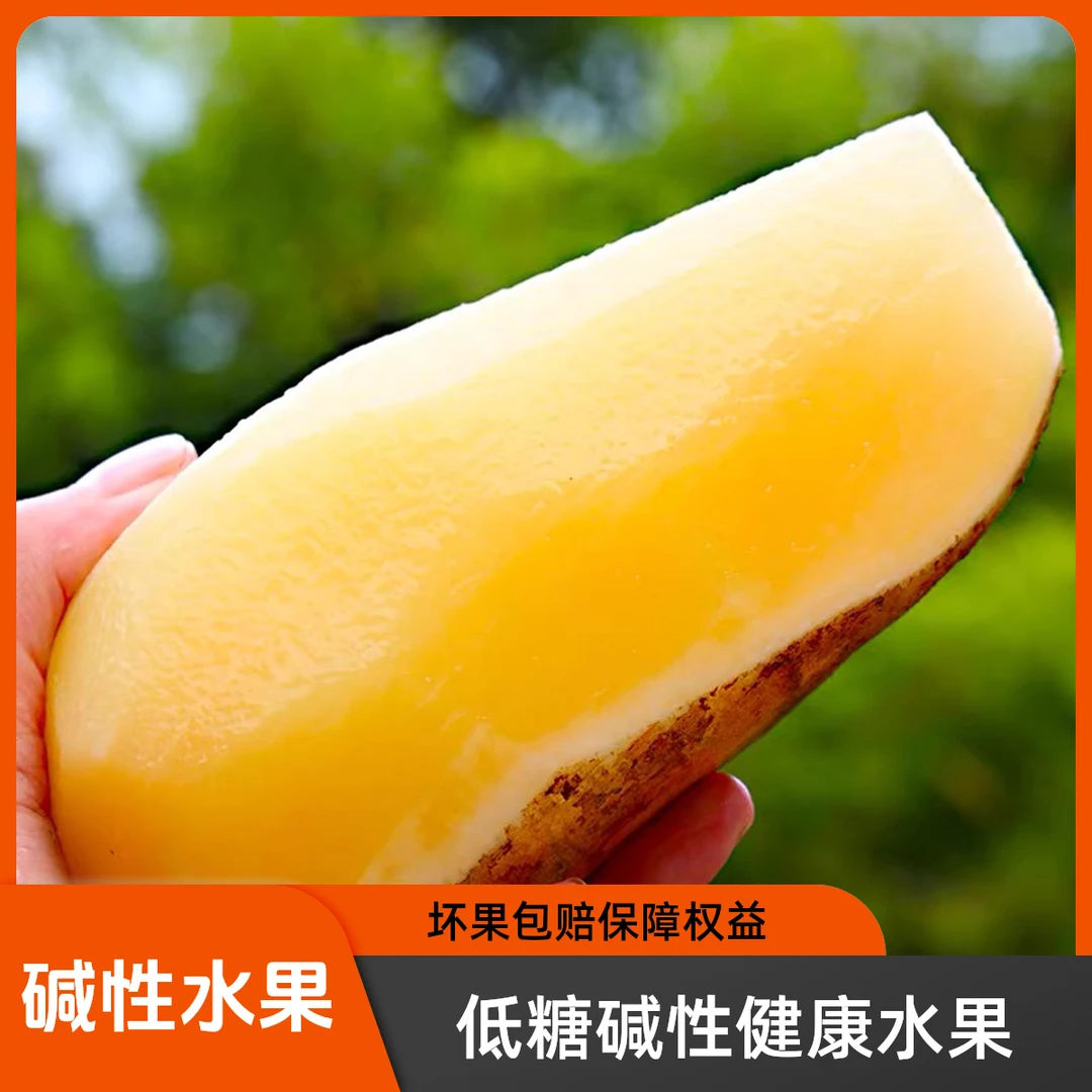 【精品碱性水果】云南高原山红泥沙雪莲果新鲜黄心应季碱性低糖水果