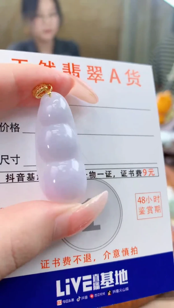 颈饰未镶嵌翡翠天然A货翡翠挂件