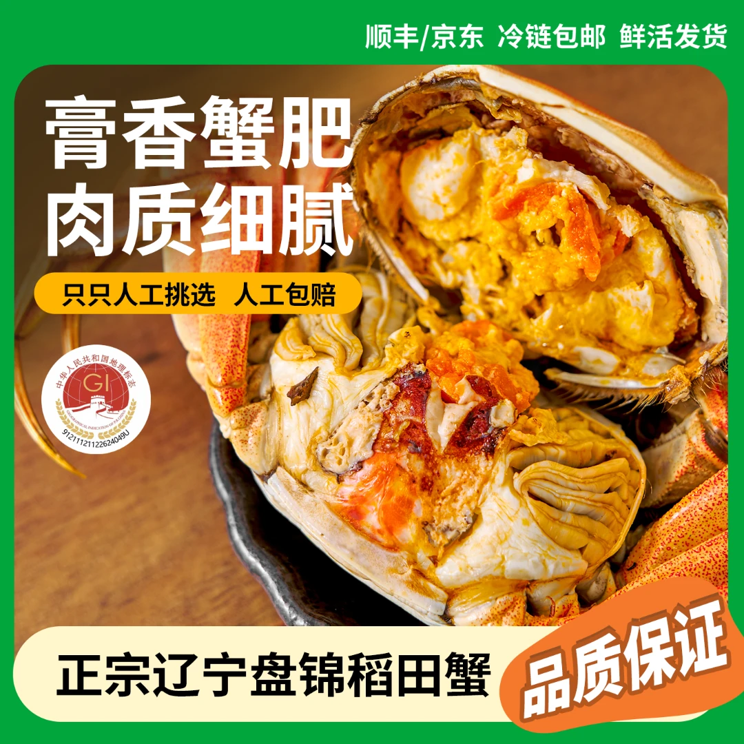 『活蟹』盘锦河蟹【纯母蟹1.1-0.8两】2/3斤 比闸蟹好吃H批发鲜活包活