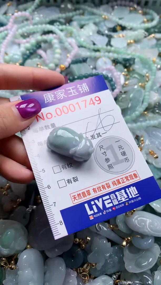颈饰未镶嵌翡翠1749