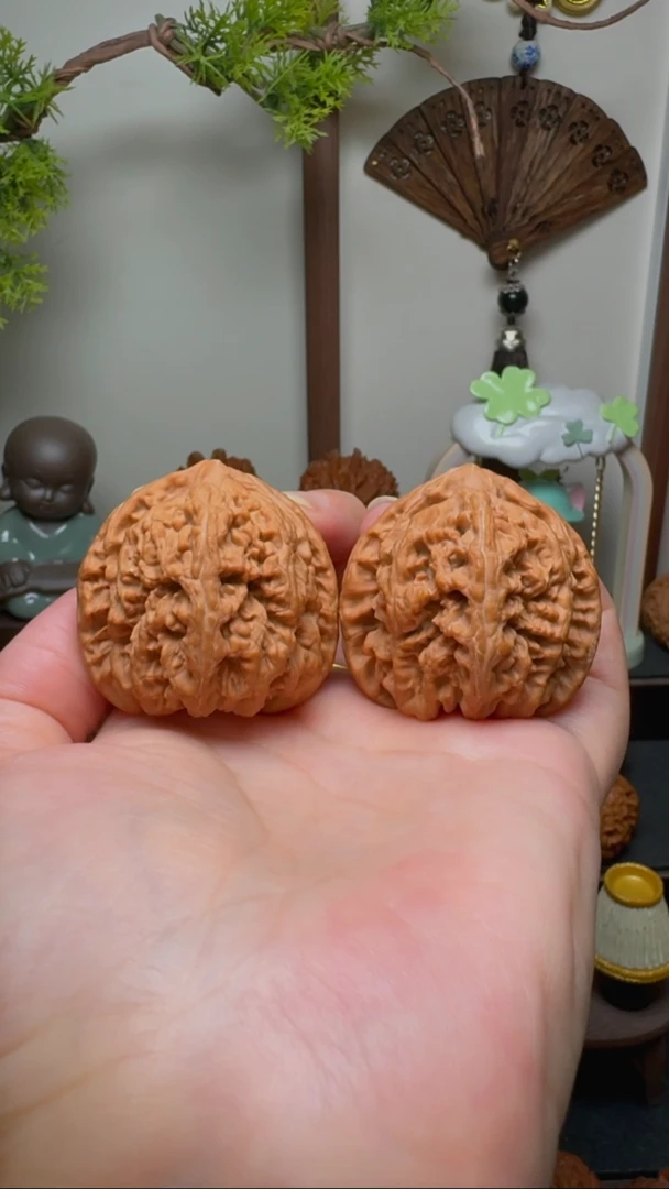 文玩核桃把件大粗筋货头 边41