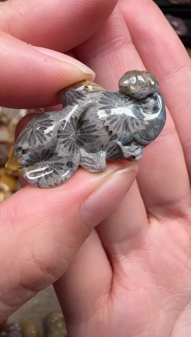 颈饰未镶嵌硅化珊瑚（珊瑚玉）815
