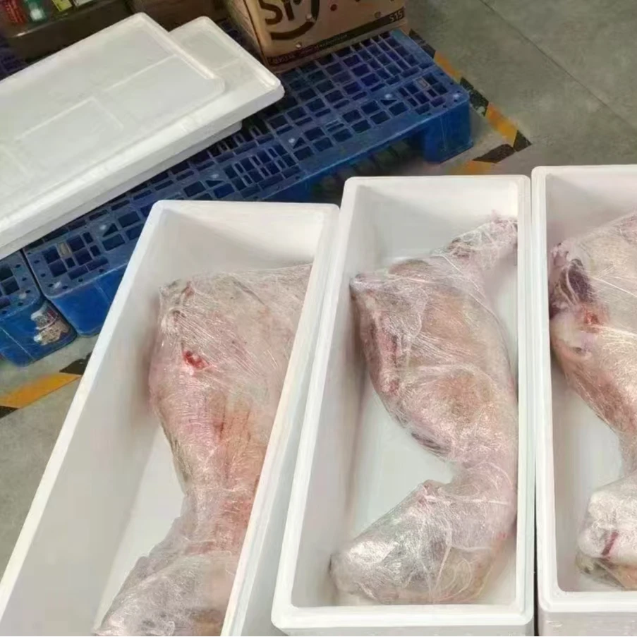 新疆柯坪绵羊散养肉质细嫩无膻味整只26斤~30斤装