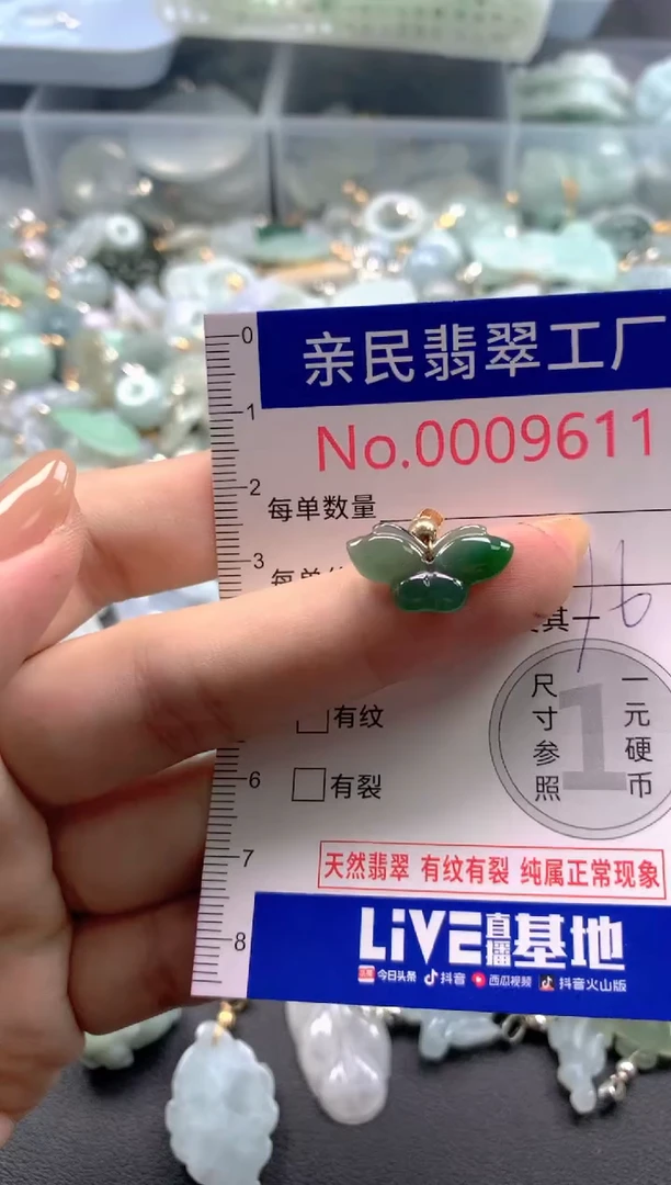颈饰未镶嵌翡翠9611