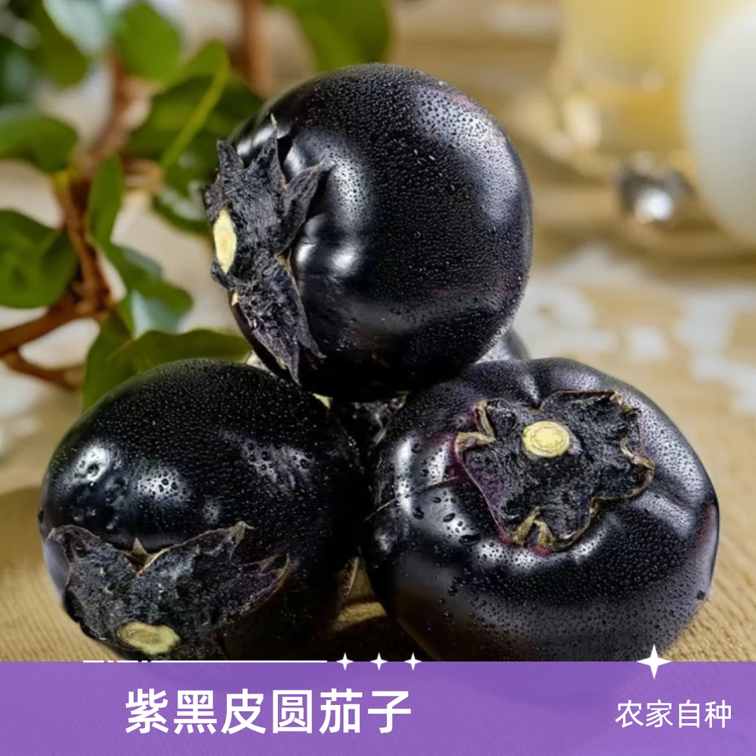 圆茄子农民现摘新鲜蔬菜当季直发优质紫茄轻松烹饪美味紫把茄子