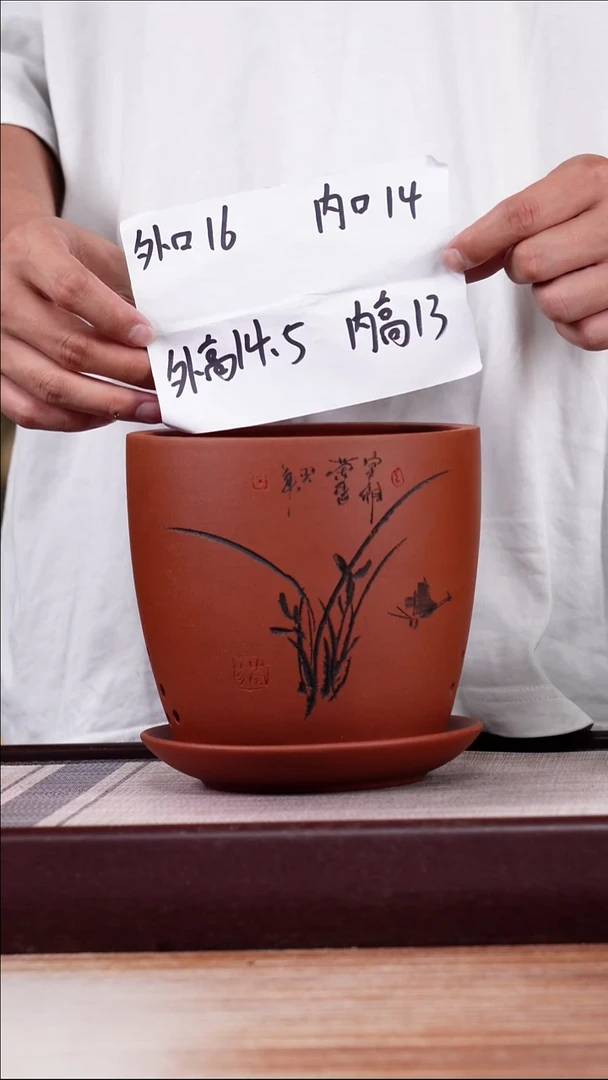 紫砂花盆清水泥君子兰2号一只带托