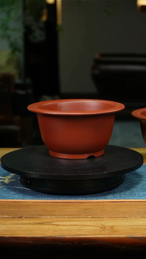 随*兔精品兰花盆盆