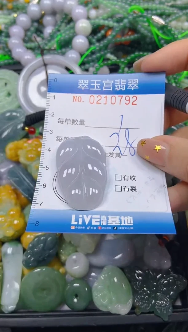 颈饰未镶嵌翡翠闪购C0210792