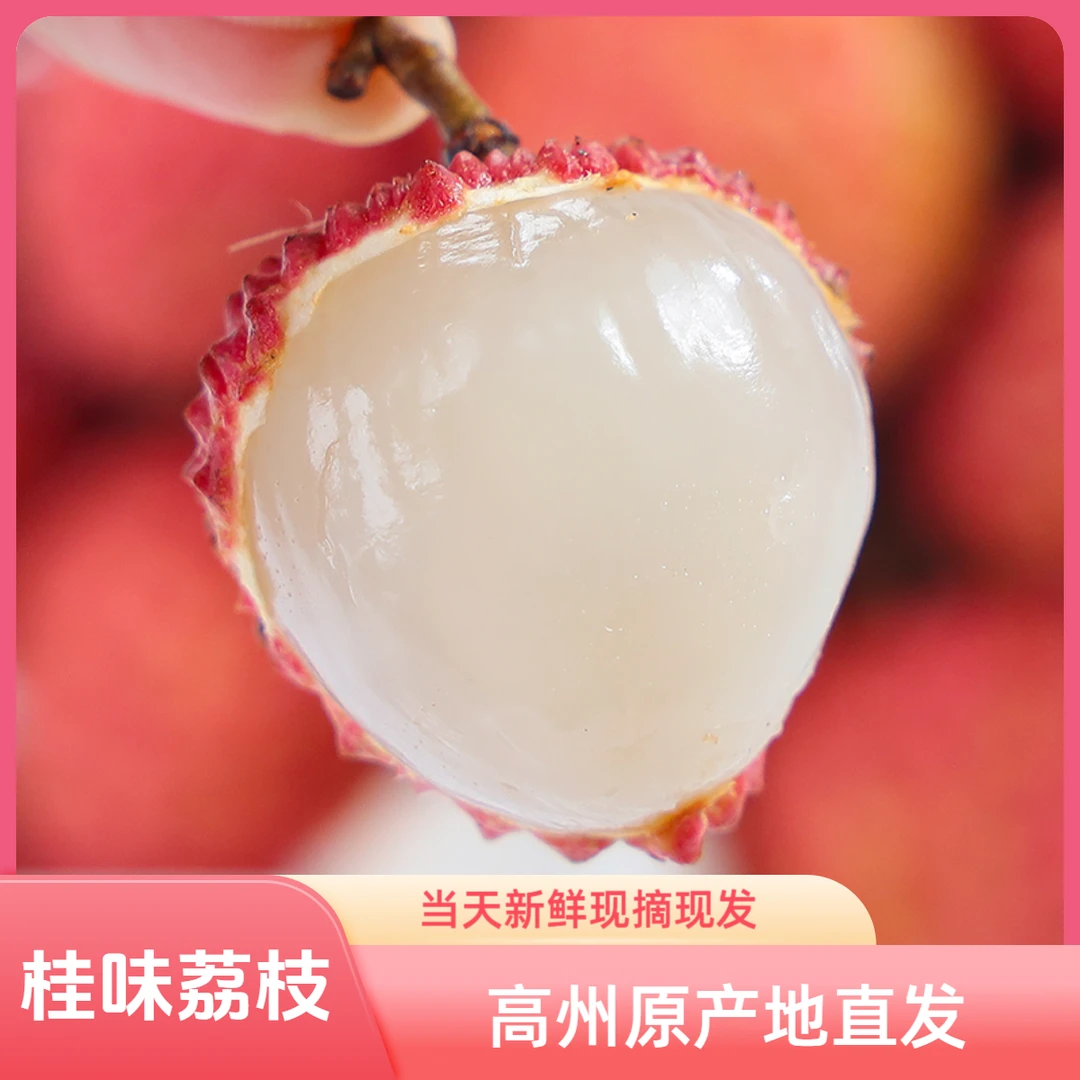 现货【桂味】高州荔枝新鲜现摘冷链包邮茂名特大荔枝果园直发