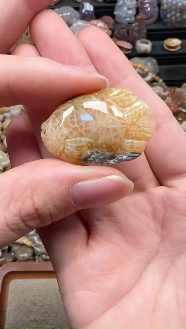 颈饰未镶嵌硅化珊瑚（珊瑚玉）541