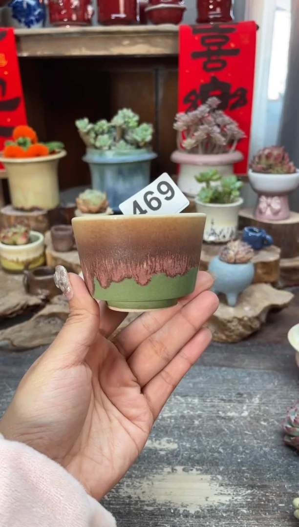 【闪购商品】摆件469知木小芳花盆