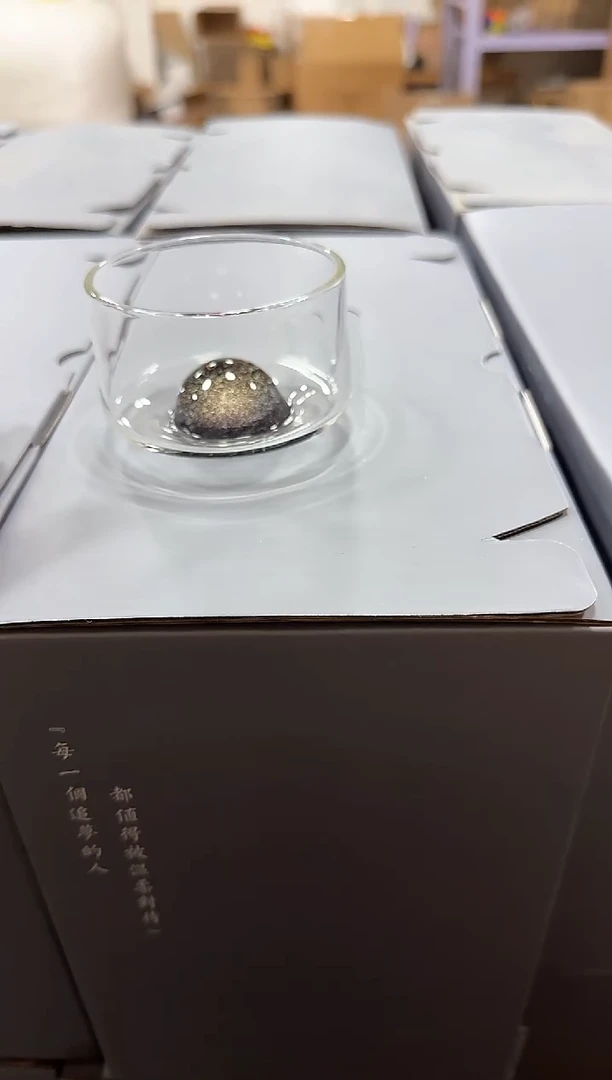 紫金龙杯
