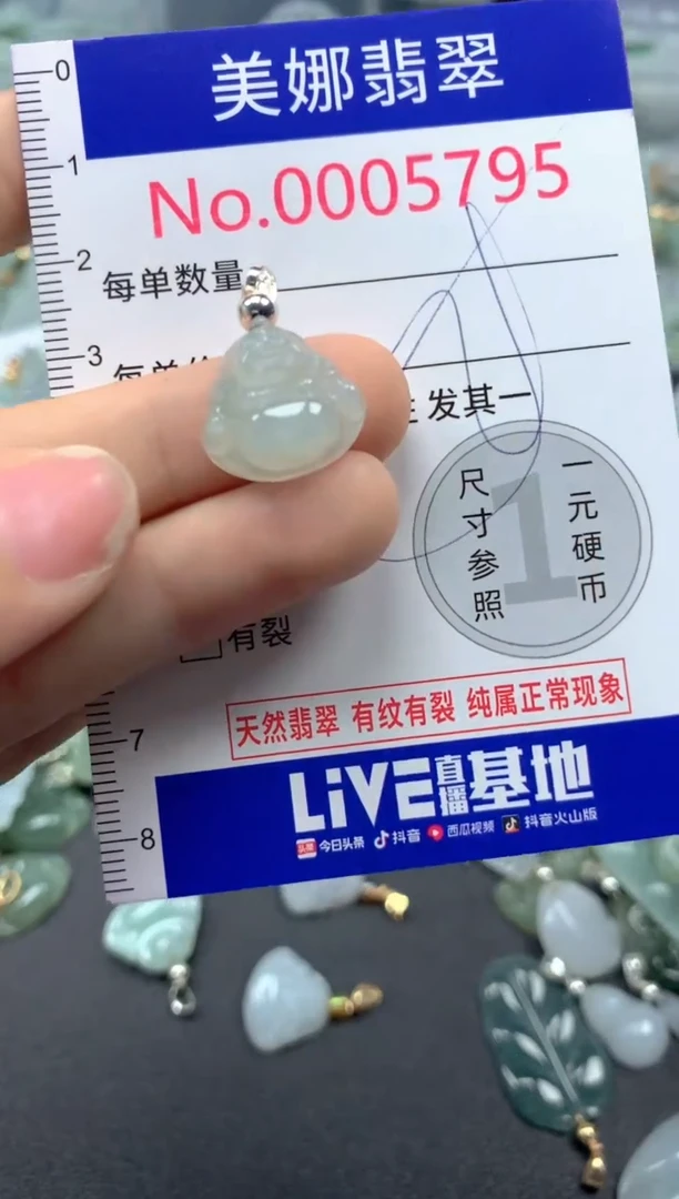 颈饰未镶嵌翡翠5795