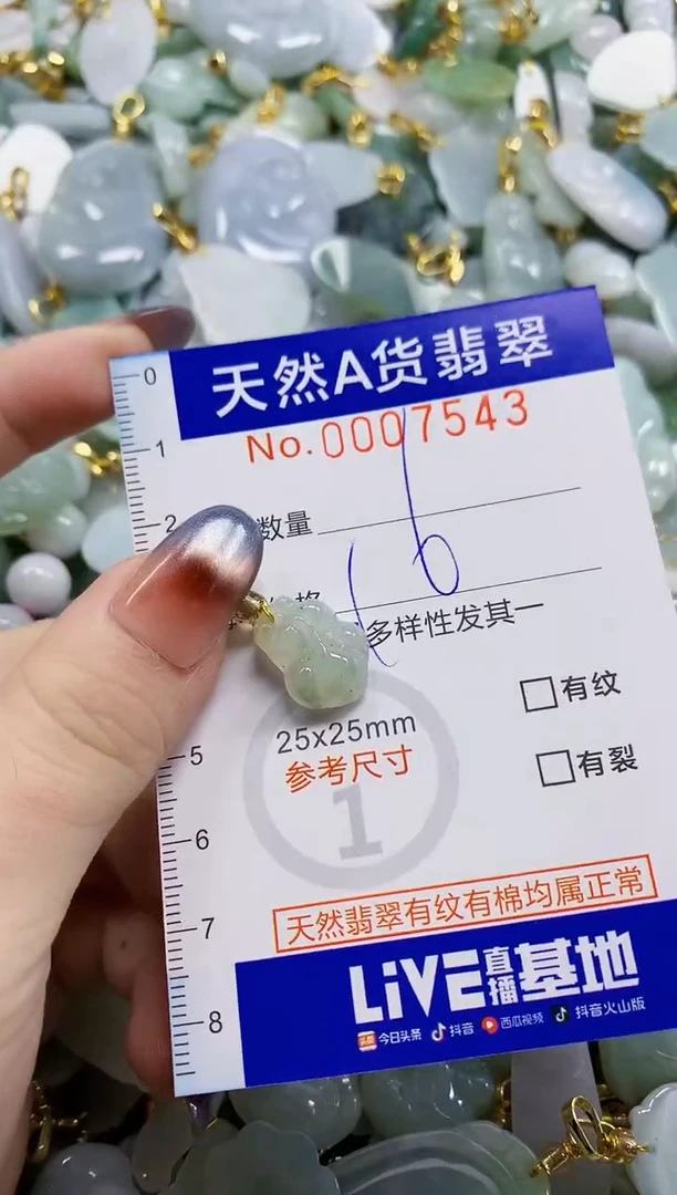 颈饰未镶嵌翡翠天然A货翡翠