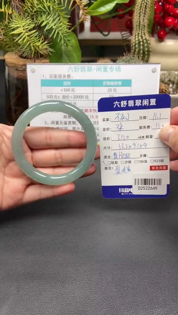 未镶嵌手镯翡翠不*了D2522649