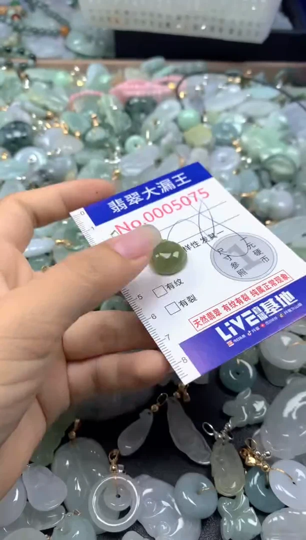 颈饰未镶嵌翡翠5075