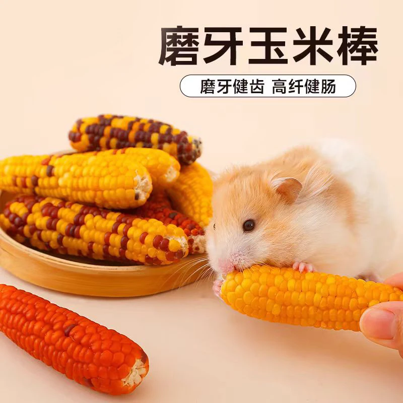 仓鼠玉米磨牙棒可食用金丝熊零食用品大全造景解闷小玩具