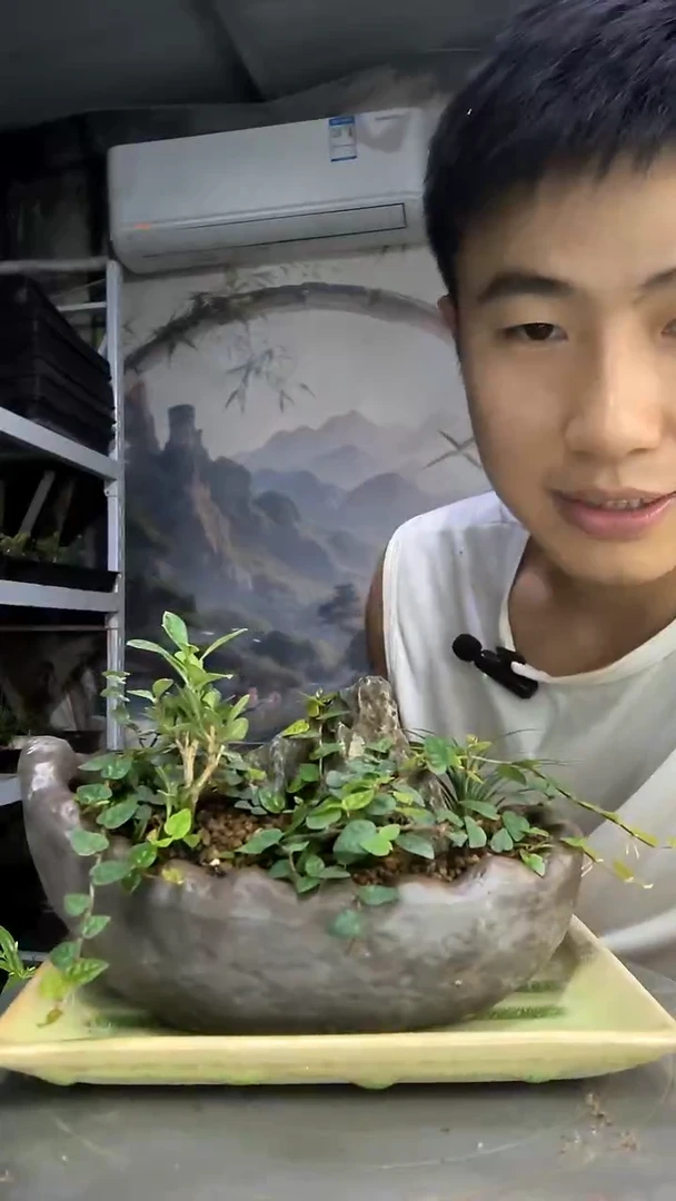 哇**！中青园艺一物一拍93