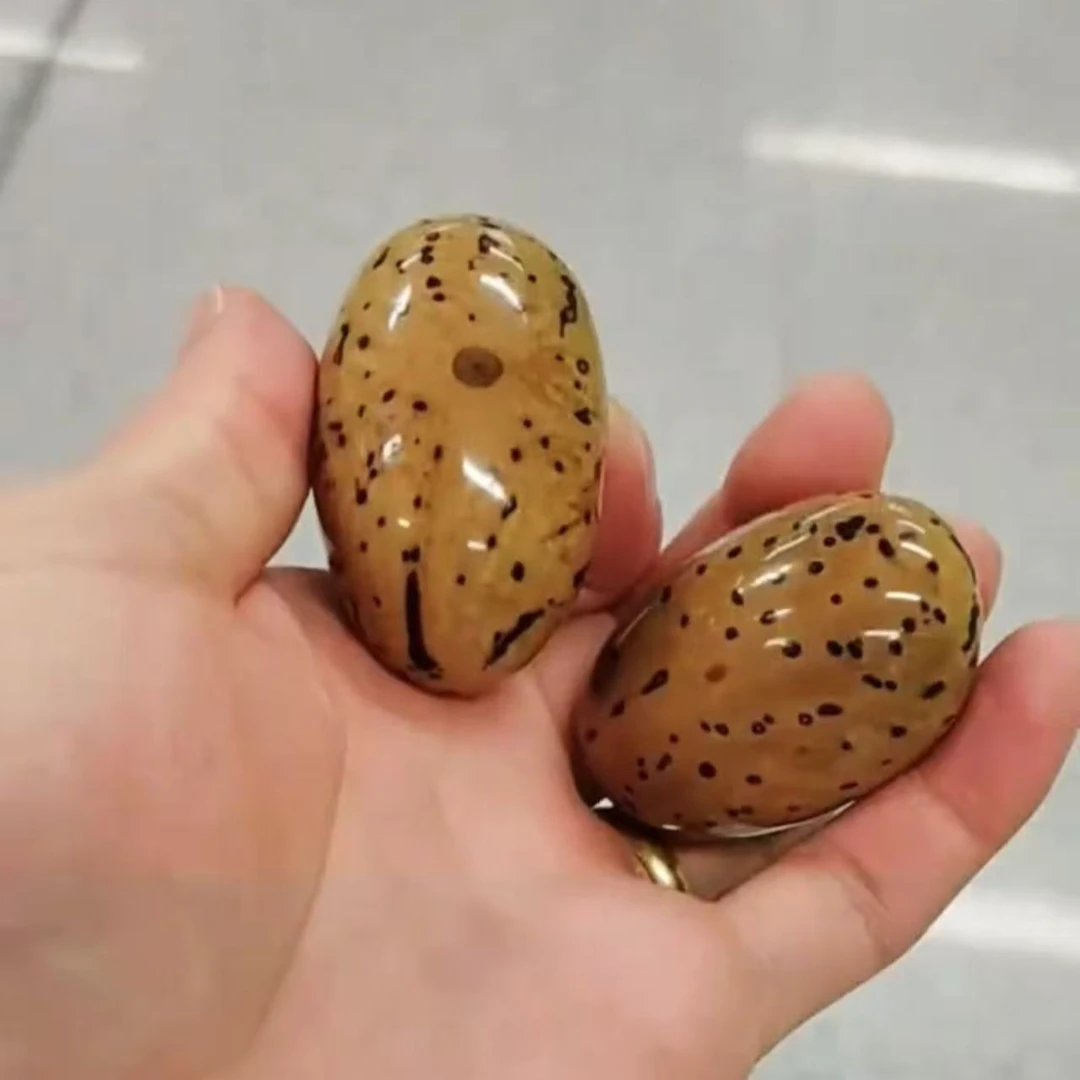非金属木质手链 精选小圆胖千眼菩提