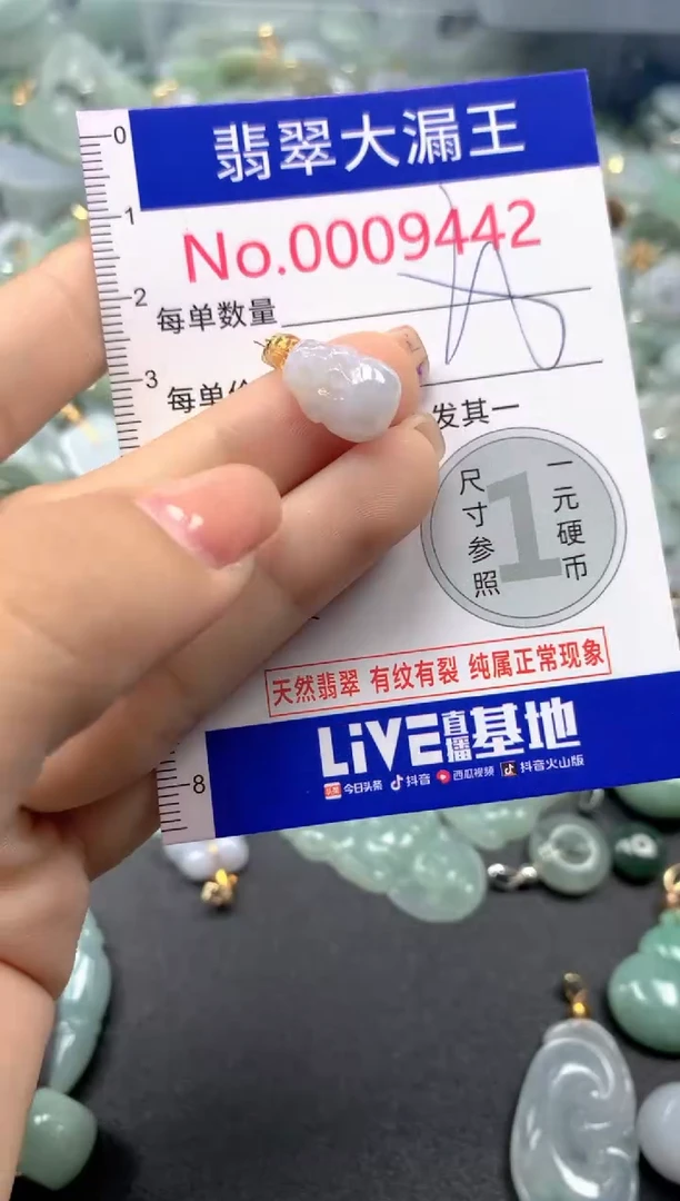 颈饰未镶嵌翡翠9442