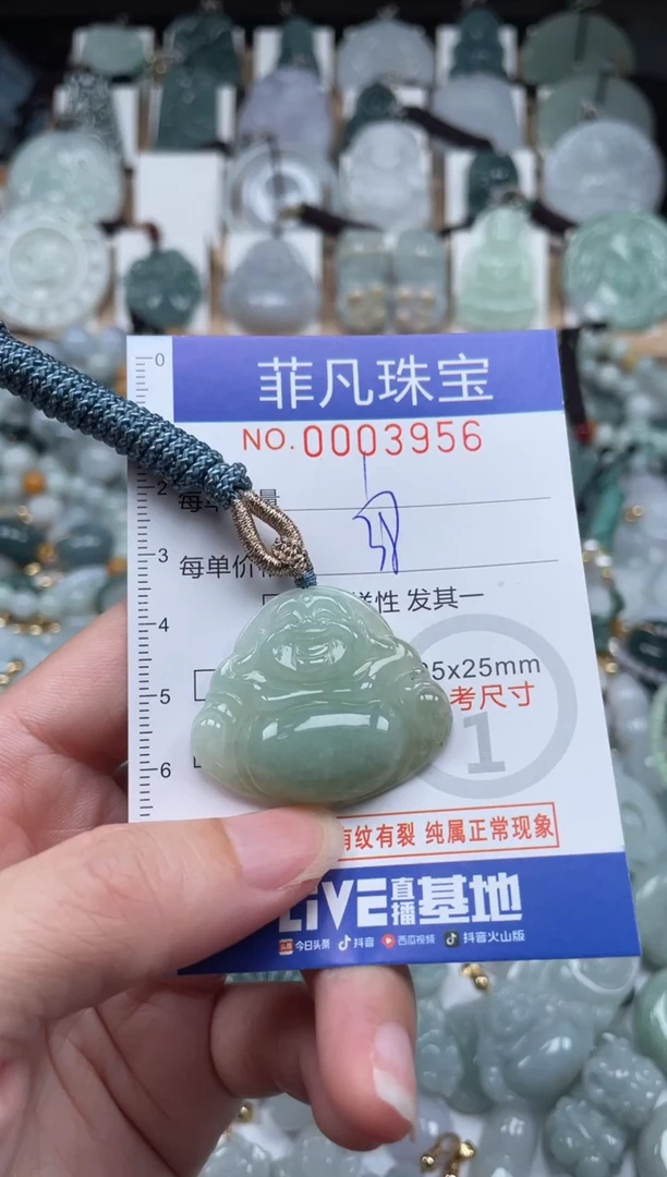翡翠未镶嵌颈饰00..3956