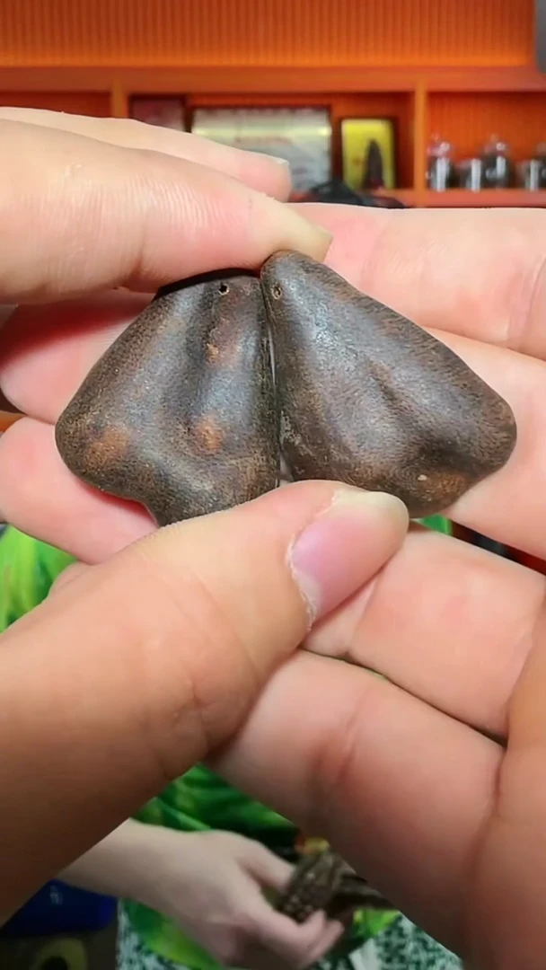 沉香吊坠207号红土多样性发一