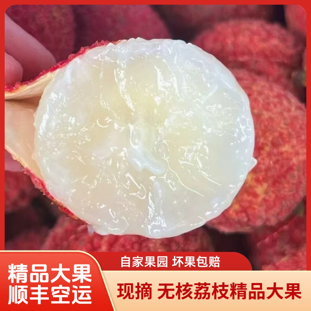 （自家现摘）顺丰空运无核荔枝精品大果纯甜无酸不泡冰水肉厚多汁