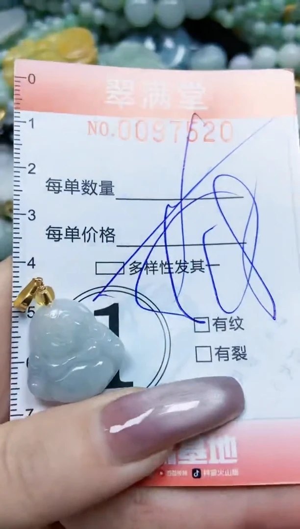 【闪购商品】翡翠颈饰未镶嵌闪购0097520多样性发其一