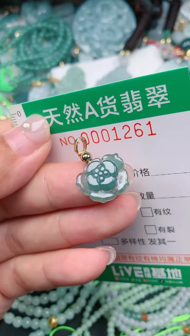 颈饰未镶嵌翡翠.0001261