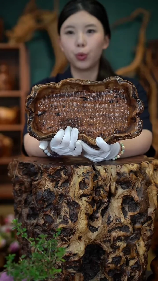 枣木雷击枣木果盘