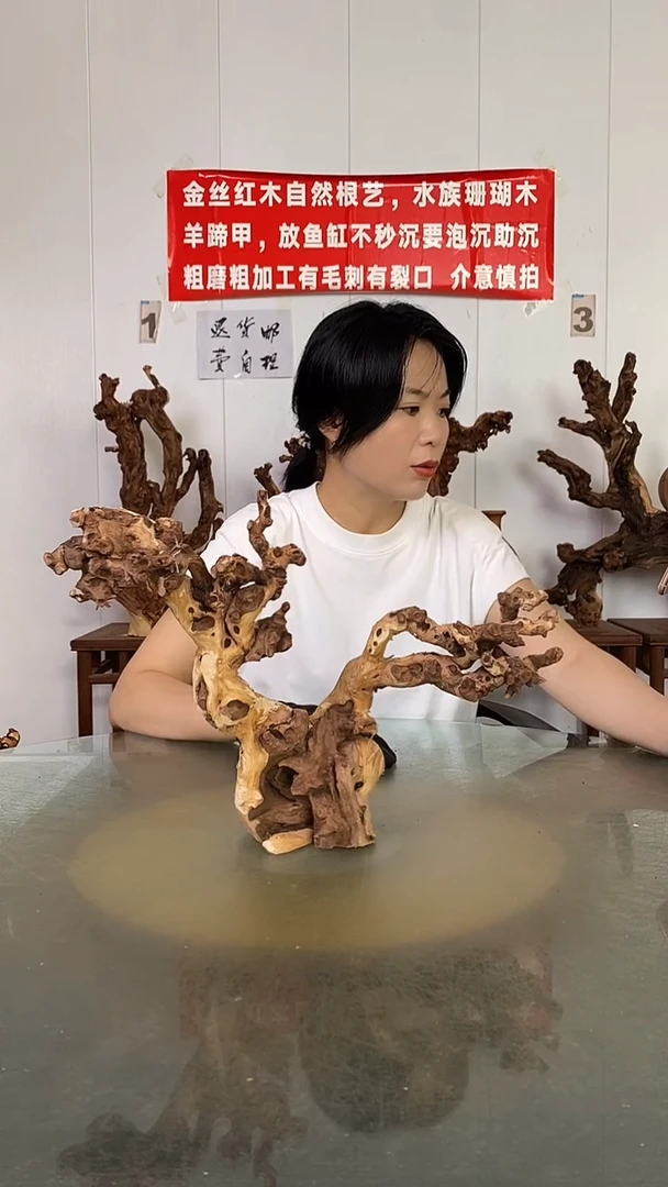 香榧木功****7金丝红木   羊蹄甲