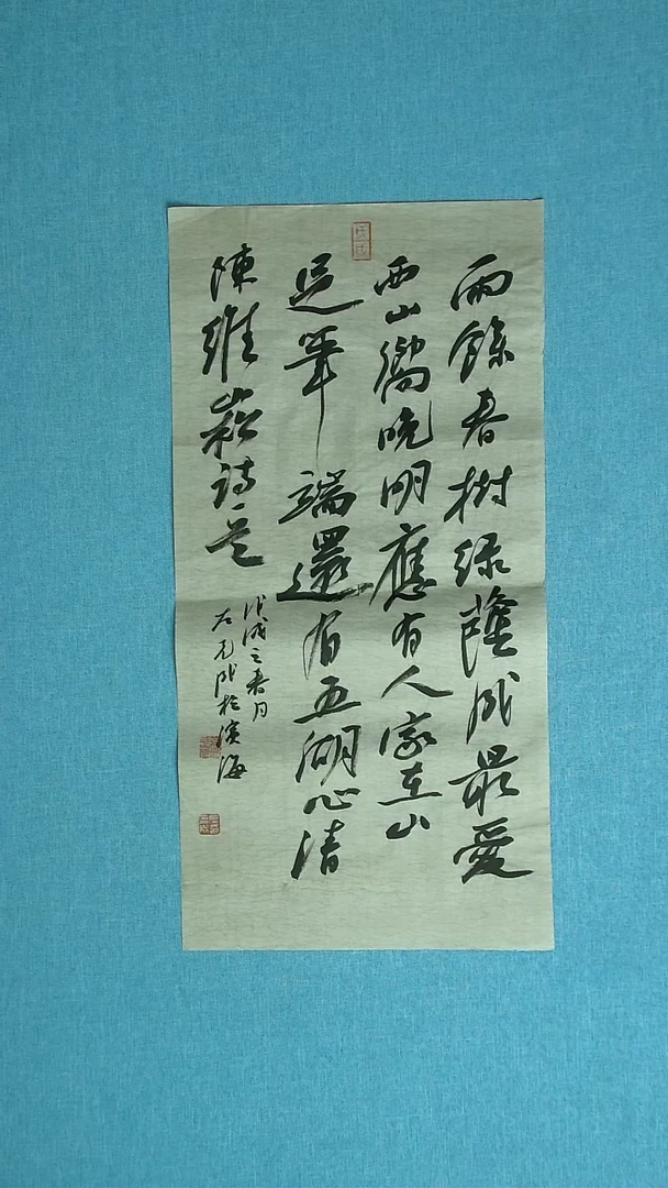 【闪购商品】书法159 江苏左克成中书协62*33