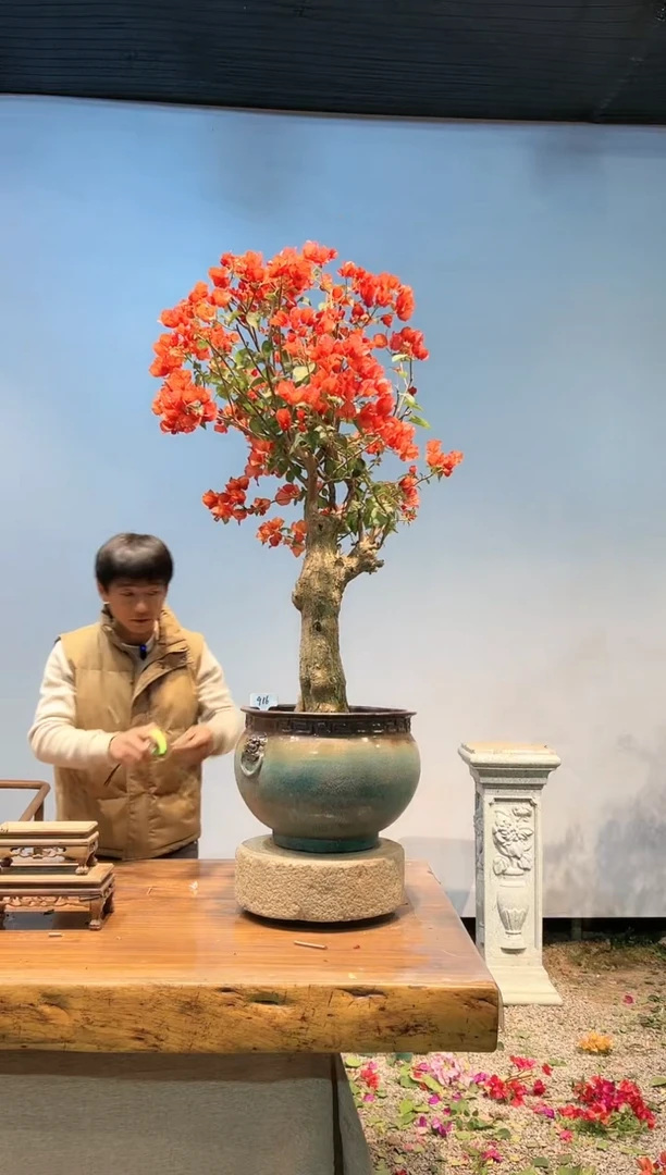 【闪购商品】AA916