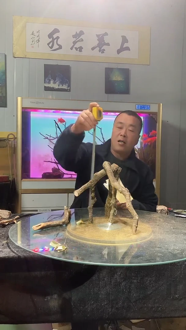 直播间黄栎木1组108号
