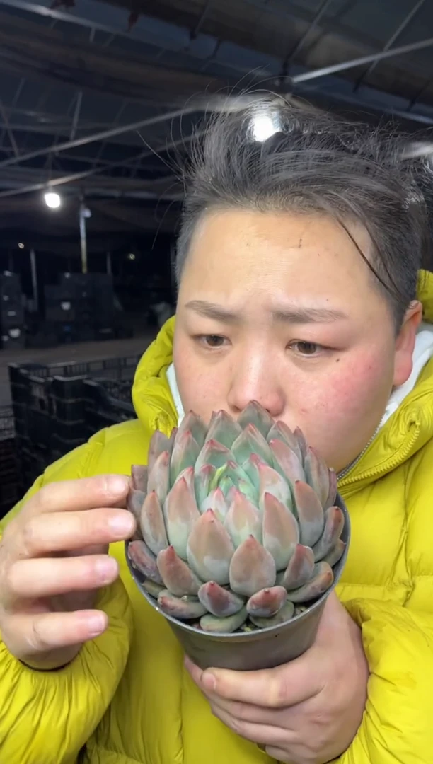 【闪购商品】53-单头婚戒5