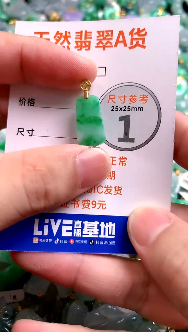 颈饰未镶嵌翡翠23000375