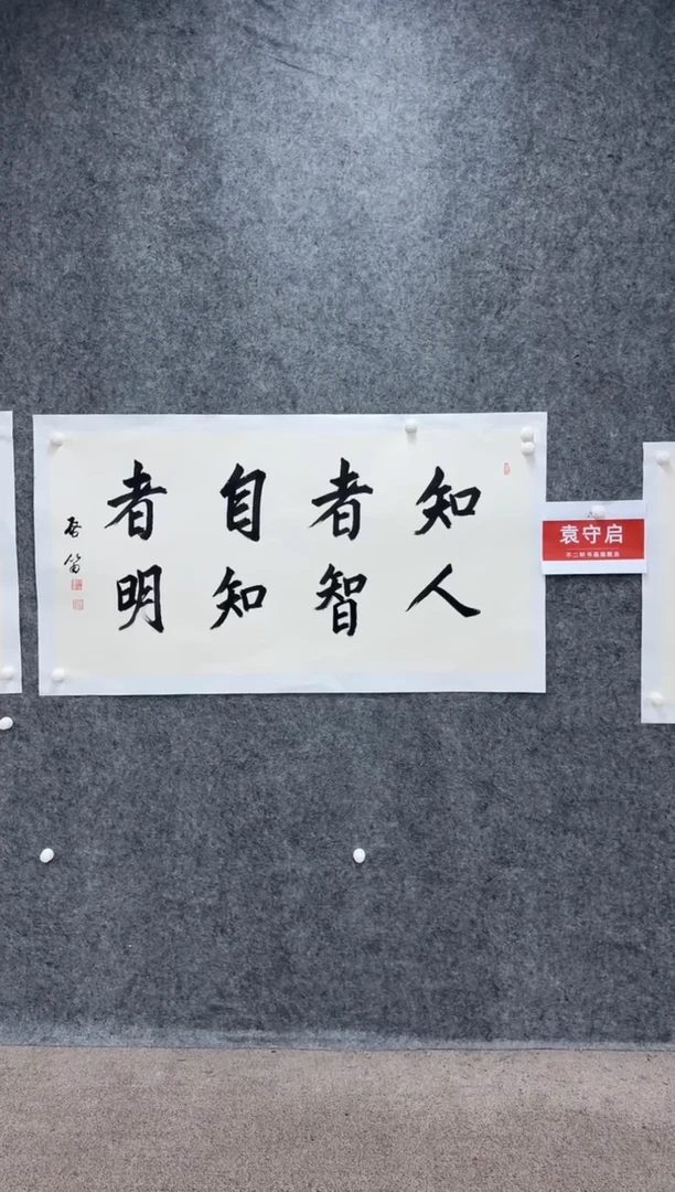 【闪购商品】书法pmw不二轩旗舰店书法YSQ28