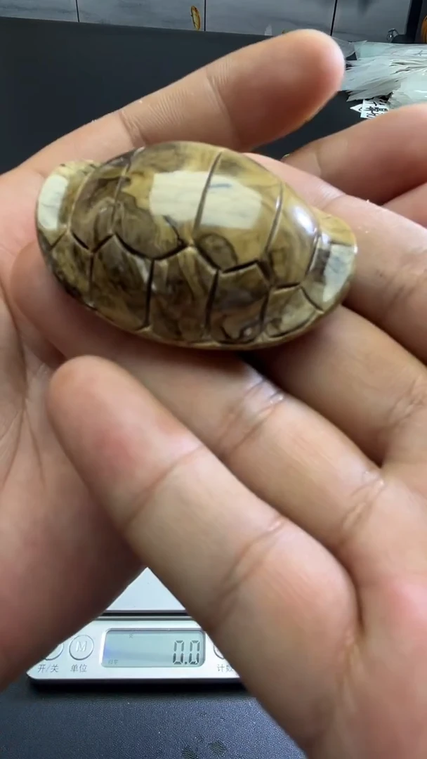 裸石琥珀未镶嵌69