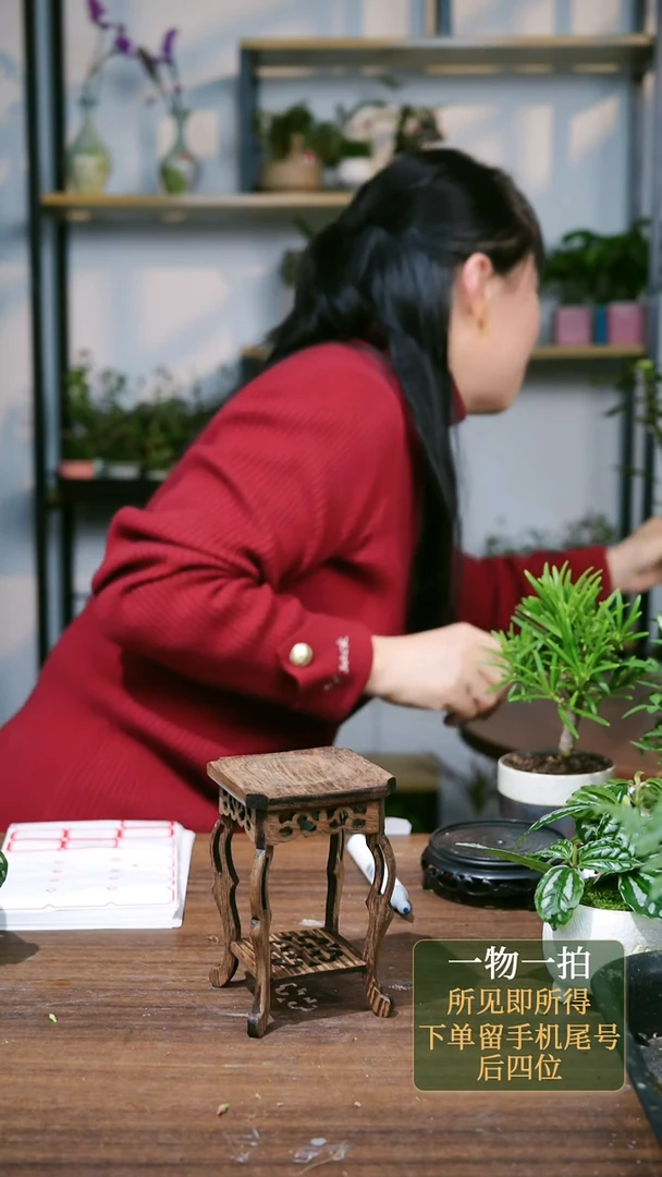 【闪购商品】39--2012轮叶公主绿