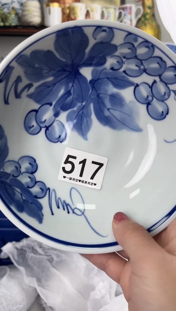 瓷片517...............