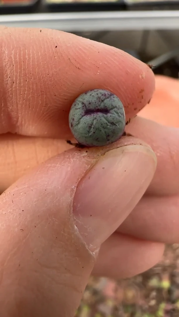 【闪购商品】13-21