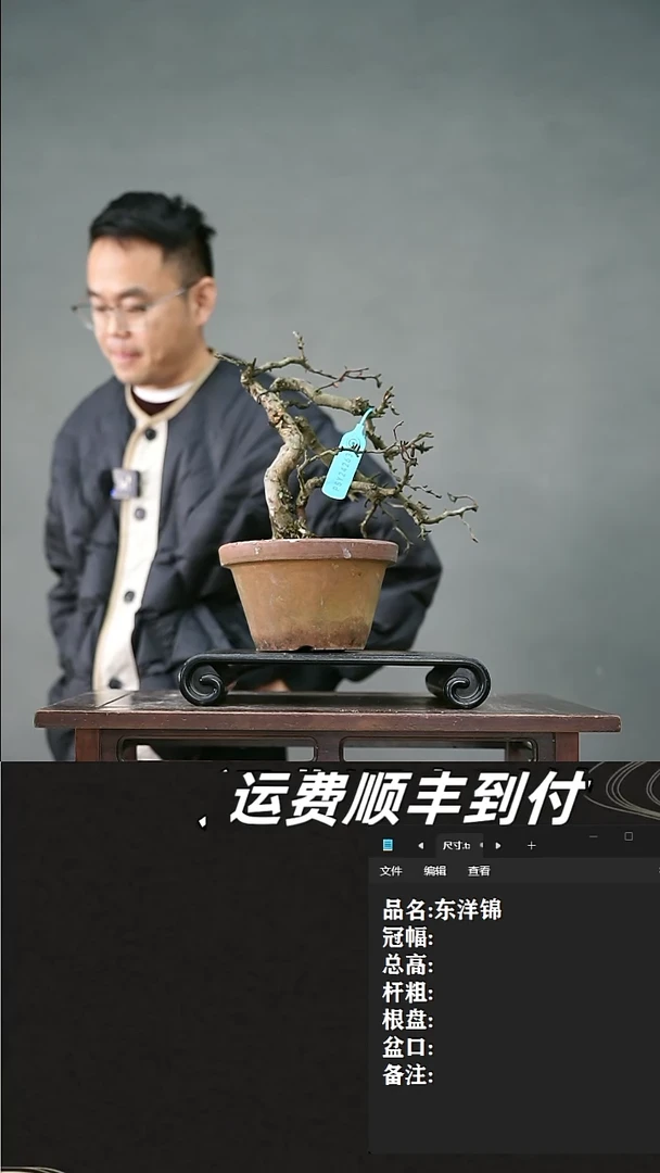 【闪购商品】39 东洋锦